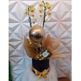 thumb-box-orquidea-ferrero-e-balao-0